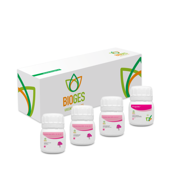 orchid fertilizers